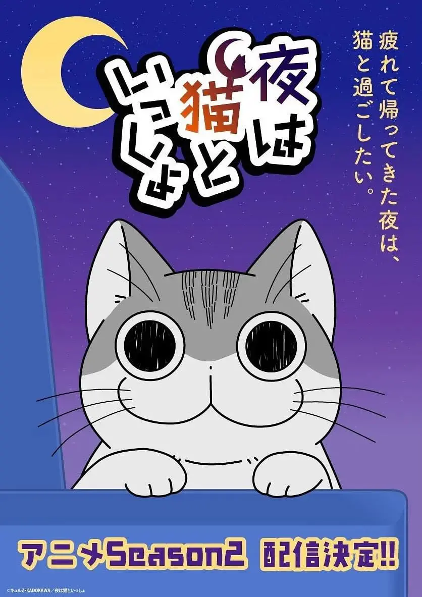 新手养猫的搞笑日常：关于养猫我一直是新手第二季深度解析与实用tips
